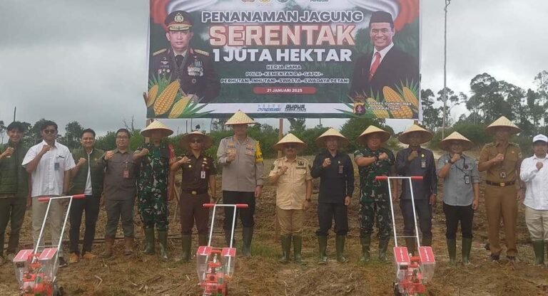 WhatsApp Image 2025-01-21 at 16.59.45