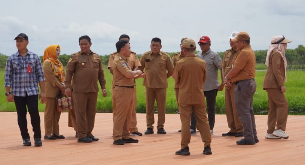 meninjau