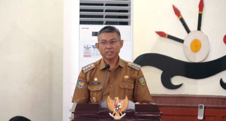 Pj Wali Kota Palangka Raya, Akhmad Husain