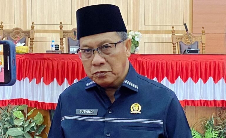 WhatsApp Image 2025-02-21 at 21.12.49