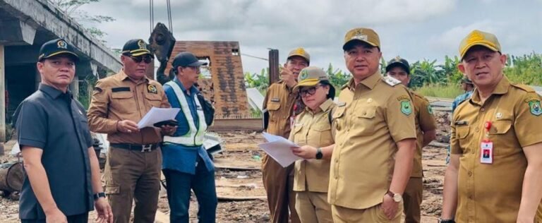 WhatsApp Image 2025-02-24 at 14.53.41