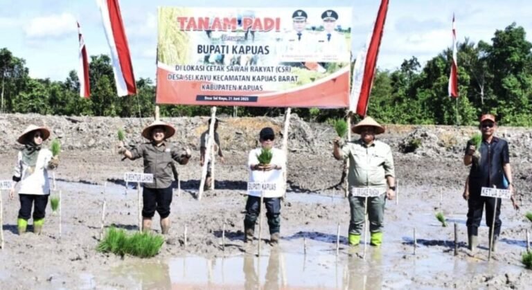 20d2522e-eef7-453a-be6e-74a57f44608c-1024x732