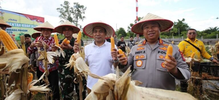 CREATOR: gd-jpeg v1.0 (using IJG JPEG v90), quality = 82