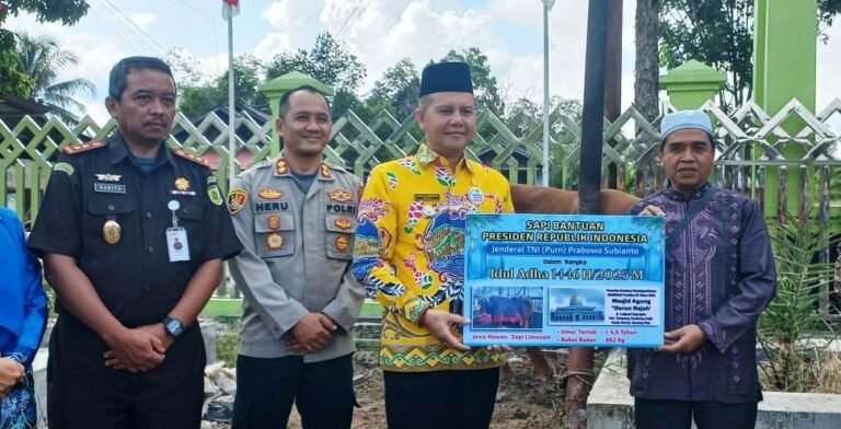 WhatsApp Image 2025-06-05 at 16.40.58