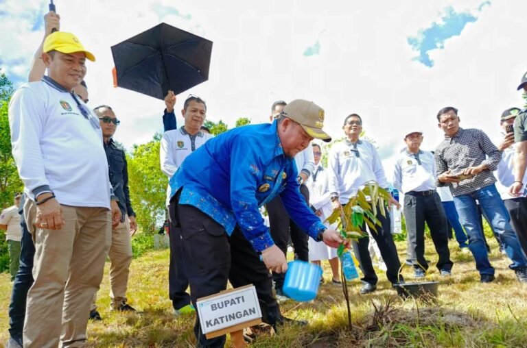 WhatsApp Image 2025-06-05 at 18.46.47