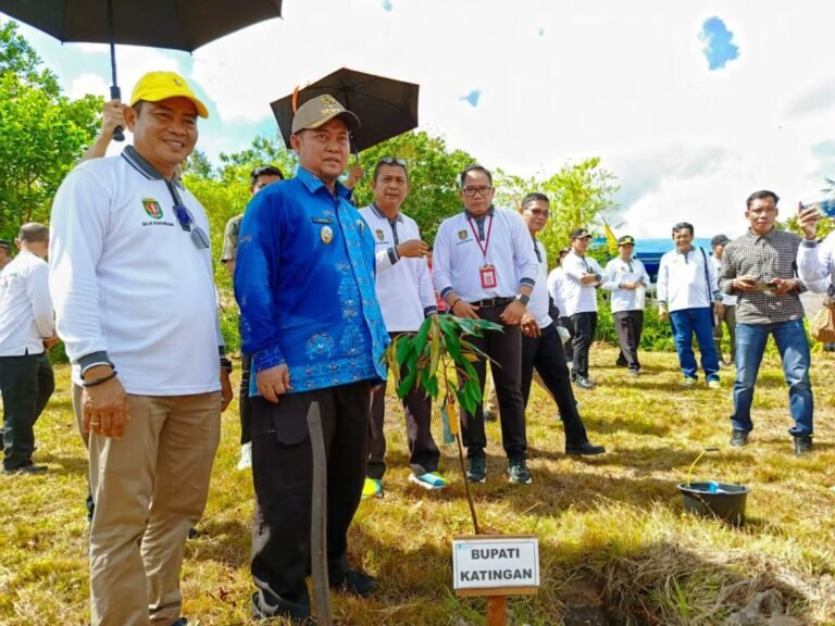 WhatsApp Image 2025-06-06 at 08.47.35