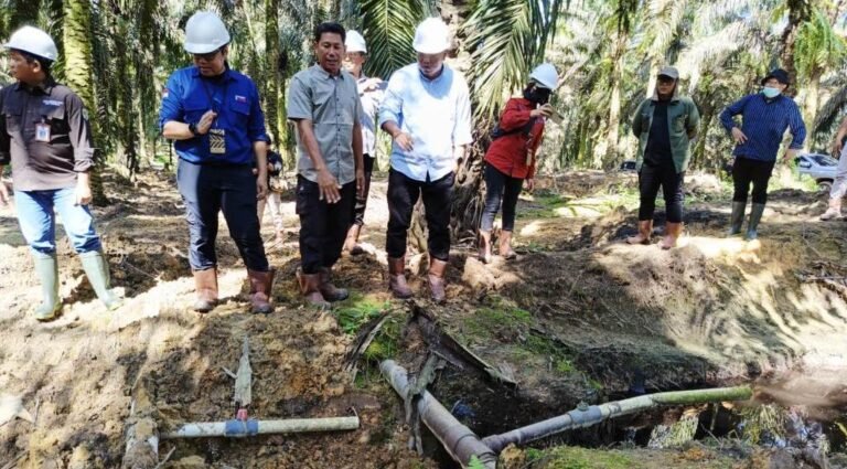 WhatsApp Image 2025-06-12 at 14.17.21