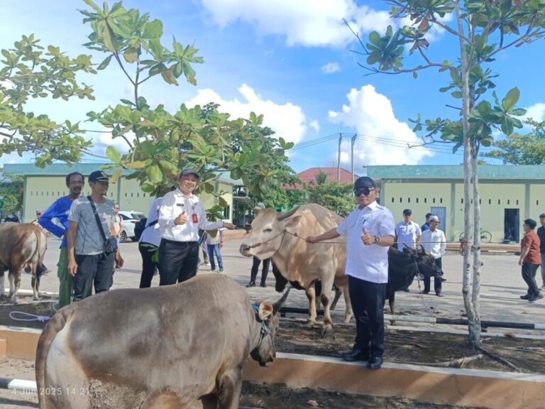 ea75c92f-a02c-4d58-88a1-778cdff9544f-1024x768