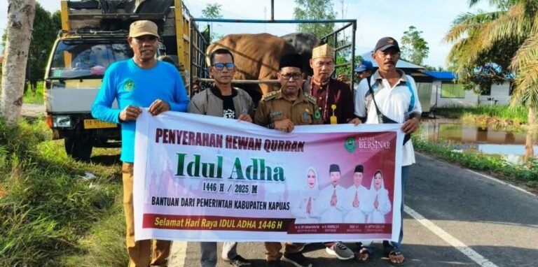 eecd683b-eac4-4e69-82b2-4248bc86a35d-1024x768