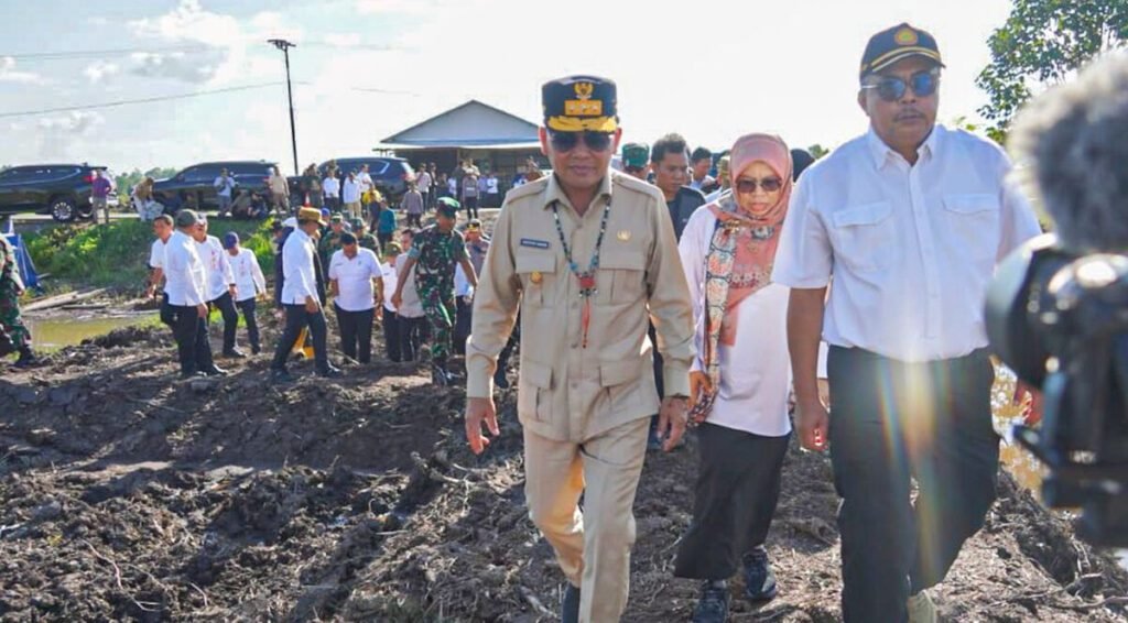 1408.Gubernur Kalteng Optimistis Proyek Cetak Sawah di Pulang Pisau Berhasil