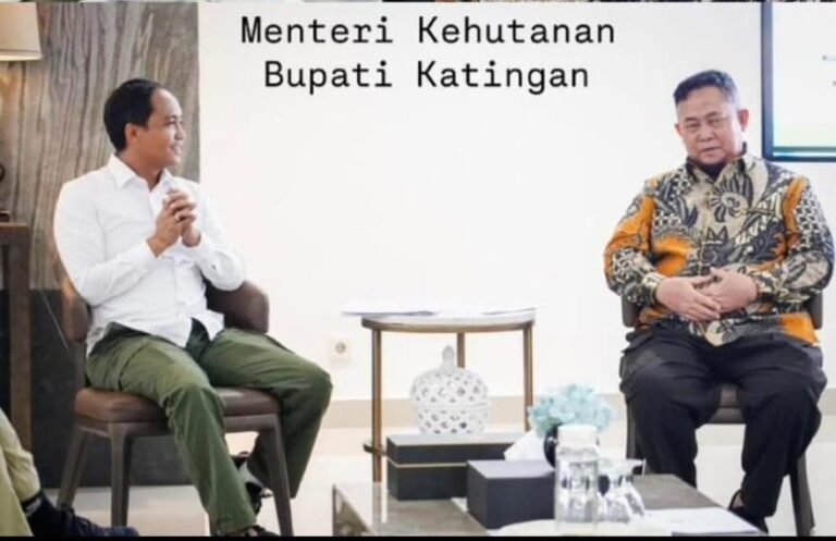 WhatsApp Image 2025-09-09 at 20.51.08_f28cb3ad