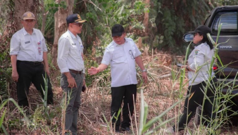 1710.Jalan Baru Basarang - Kapuas Barat Sudah Fungsional