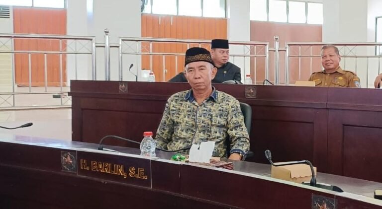 Anggota DPRD Murung Raya Barlin