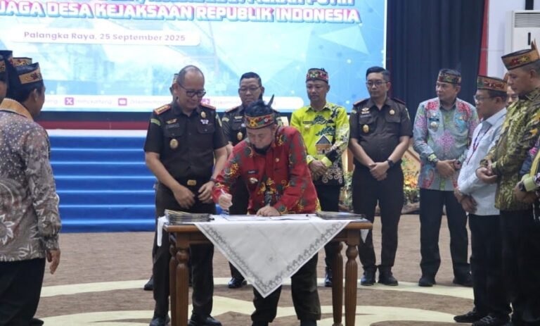 WhatsApp Image 2025-10-11 at 20.53.19_07c5933e