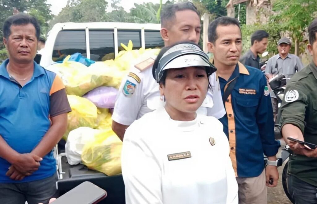 d7974bed-e92f-4d80-ace9-5f58e3cf333a (1)