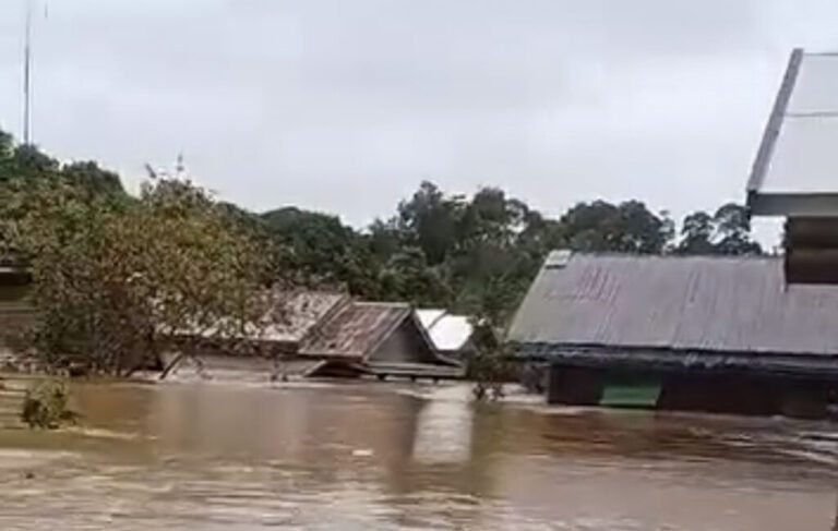 2601.Kusmanto Harap Pemkab Kapuas Segera Bantu Korban Banjir Dusun Mamput