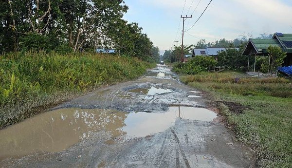 1001.DPRD Kapuas Desak Penanganan Kerusakan Jalan Buhut Jaya