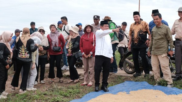 1602.Pemkab Kapuas Gelontorkan Rp7 Miliar Perbaikan Jalan Desa Terusan Karya