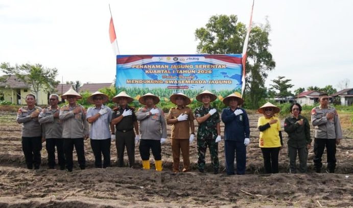 CREATOR: gd-jpeg v1.0 (using IJG JPEG v90), quality = 82