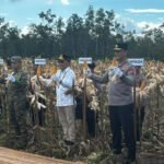 1705.Gubernur Kalteng Perkuat Swasembada Pangan Lewat Panen Jagung