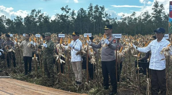 1705.Gubernur Kalteng Perkuat Swasembada Pangan Lewat Panen Jagung