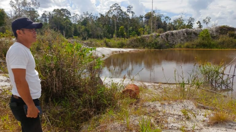 Wakil Ketua Kitadaya Katingan, Hendro saat meninjau lokasi eks tambang rakyat di Kecamatan Katingan Hilir, Jumat (1/5/2026).