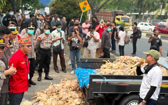 2907.Peternak Tumpahkan Bangkai Ayam, Desak PLN Beri Solusi