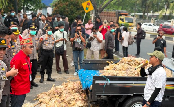 2907.Peternak Tumpahkan Bangkai Ayam, Desak PLN Beri Solusi