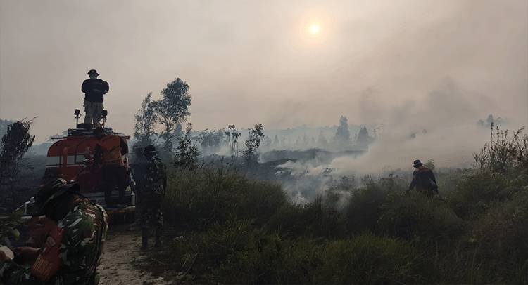 0510.Karhutla Kobar Bakar 27,54 Hektare pada Awal Oktober