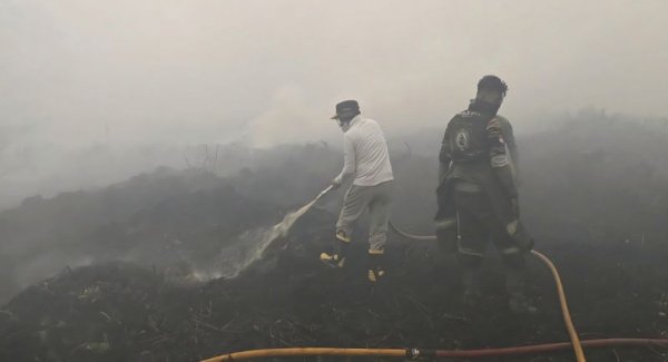 0910.Gubernur Kalteng Turun Tangan Padamkan Karhutla di Kobar