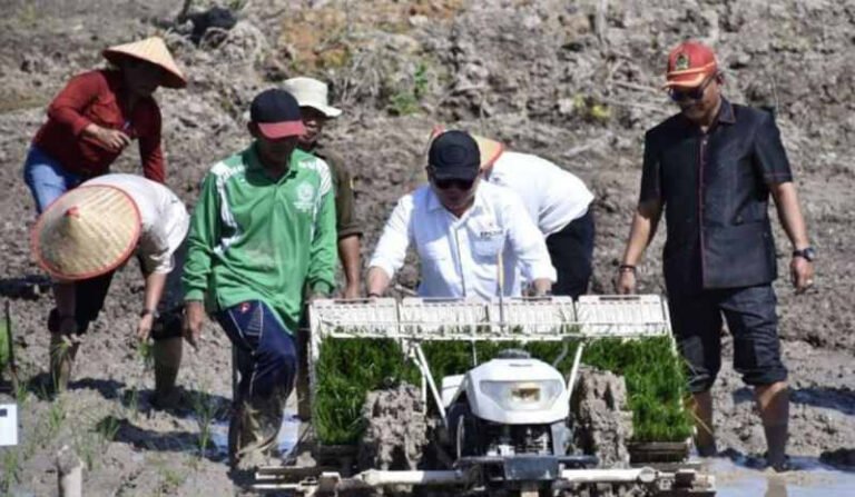 1310.Capaian Cetak Sawah di Kapuas Tembus 4