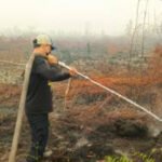 1810.Polda Kalteng Seret 46 Tersangka dan Usut 12 Perusahaan